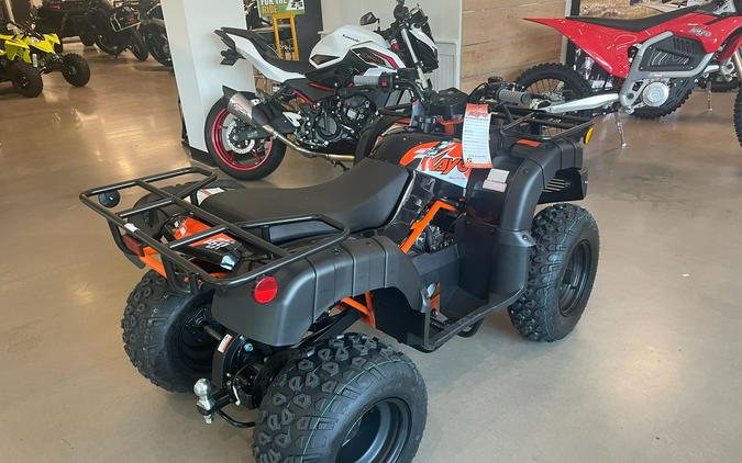 2026 Kayo Bull 150 EFI