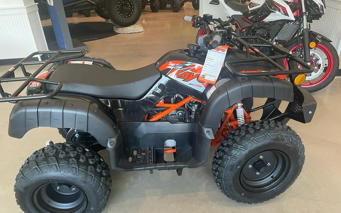 2026 Kayo Bull 150 EFI