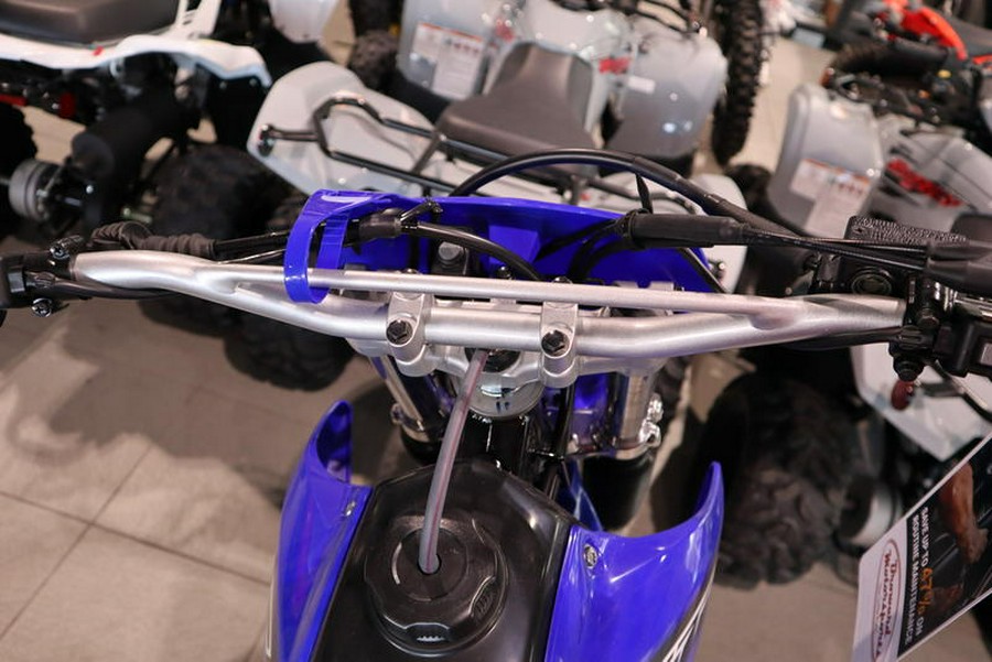 2023 Yamaha TT-R230