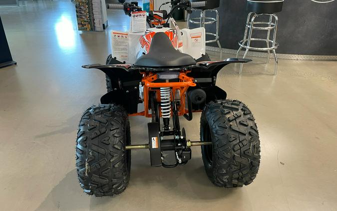 2026 Kayo Predator 110