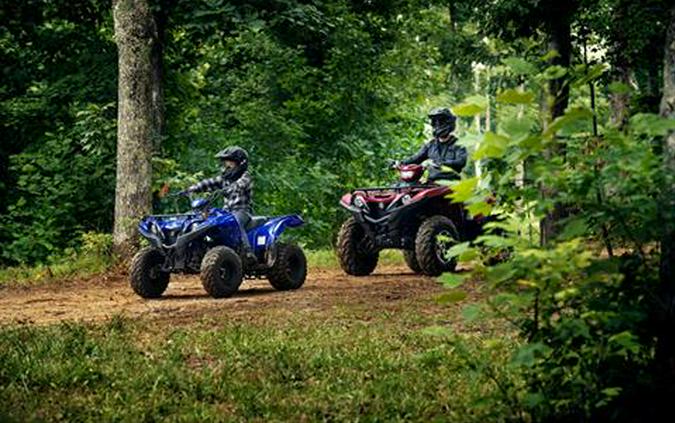 2020 Yamaha Grizzly 90