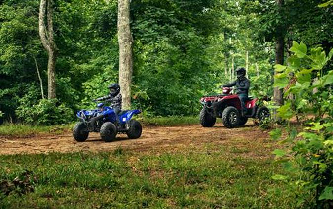 2020 Yamaha Grizzly 90