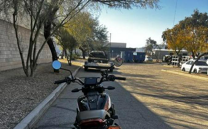 2019 Indian Motorcycle® FTR™ 1200 Thunder Black