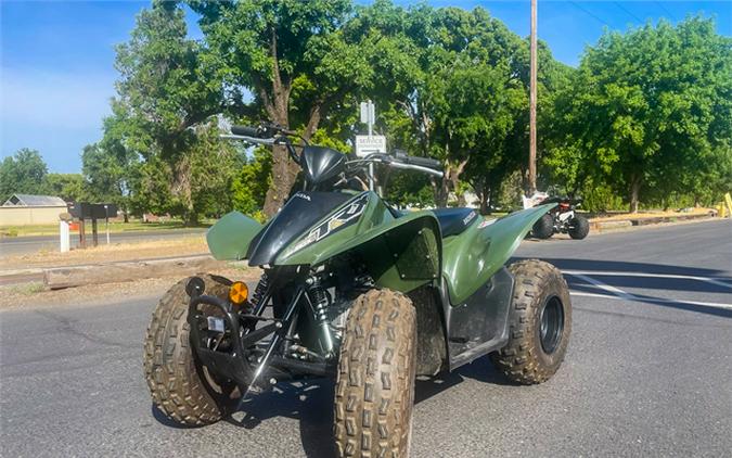 2019 Honda TRX90X