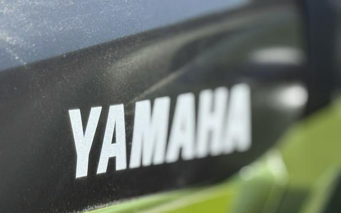 2025 Yamaha Kodiak 700 EPS