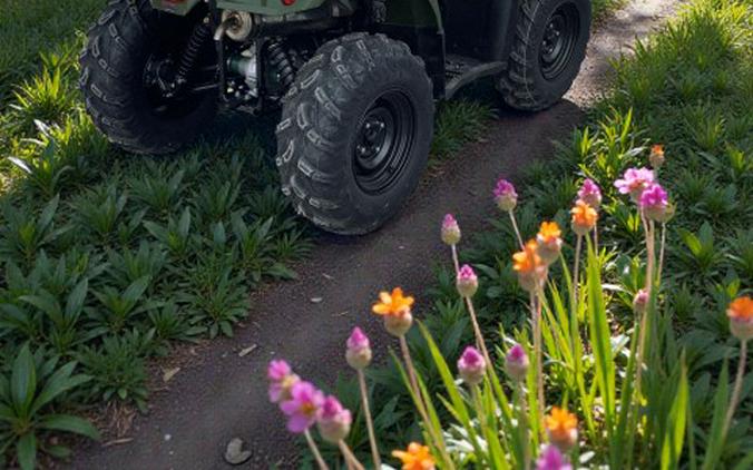 2026 Yamaha Kodiak 450