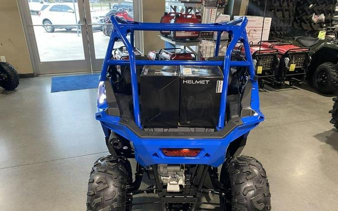 2023 Polaris® RZR 200 EFI Troy Lee Designs Edition