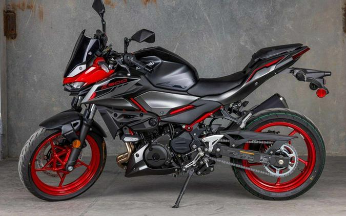 2025 Kawasaki Z500 SE ABS