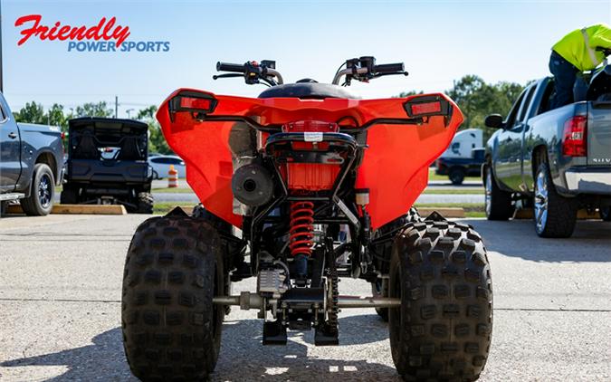 2023 Can-Am DS 250