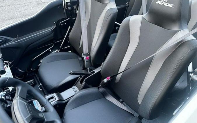 2025 Kawasaki Teryx KRX4 1000 eS