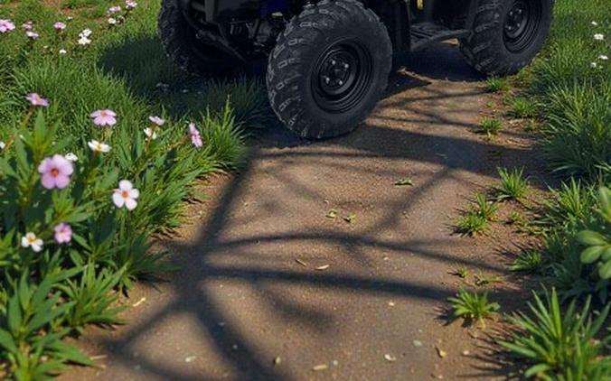 2026 Yamaha Kodiak 450