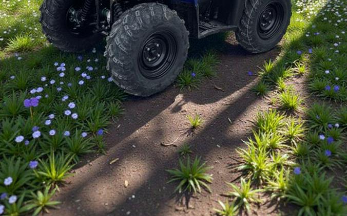 2026 Yamaha Kodiak 450