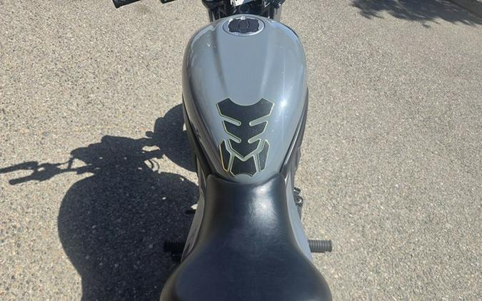 2024 Kawasaki Eliminator ABS Pearl Robotic White