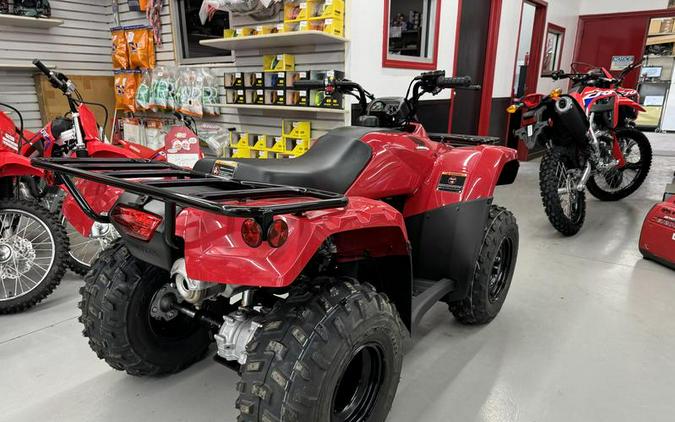 2026 Honda® TRX250TM1T