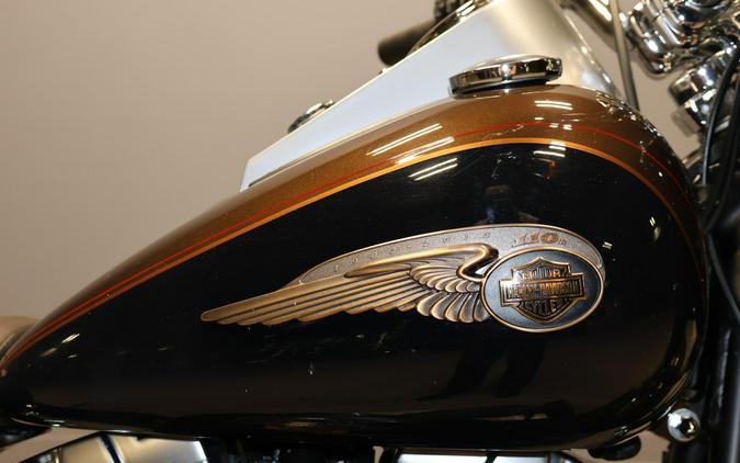 2013 Harley-Davidson Fat Boy Lo Anniversary Edition FLSTFBAE