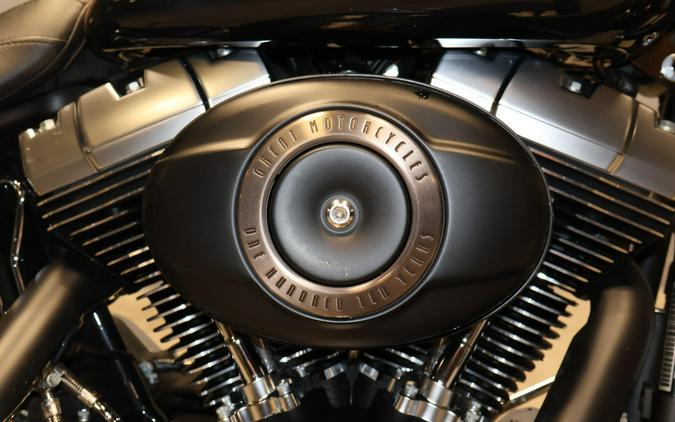 2013 Harley-Davidson Fat Boy Lo Anniversary Edition FLSTFBAE