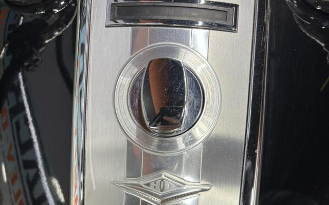 2017 Harley-Davidson® Road King® BLACK W/PINSTRIPE