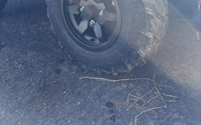 2026 Kawasaki Brute Force® 750 SE EPS Camo