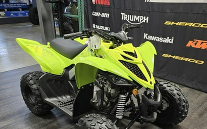 2026 Yamaha Raptor 110