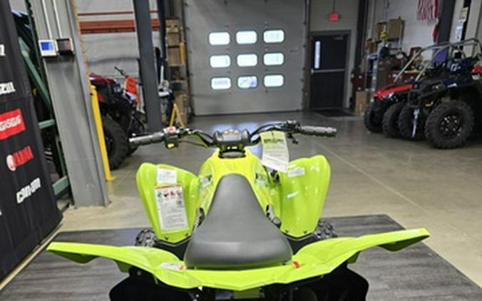 2026 Yamaha Raptor 110