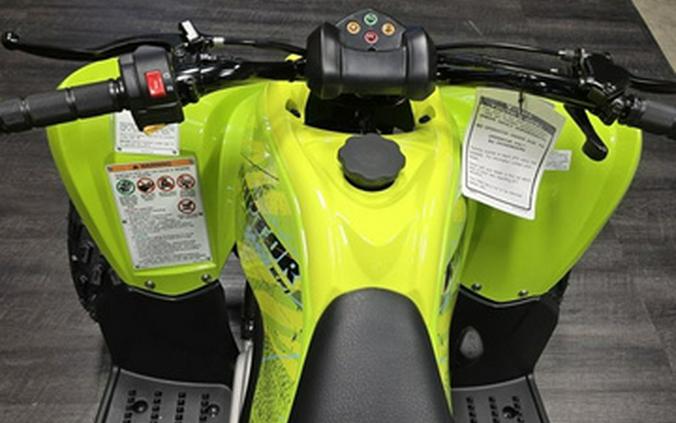 2026 Yamaha Raptor 110