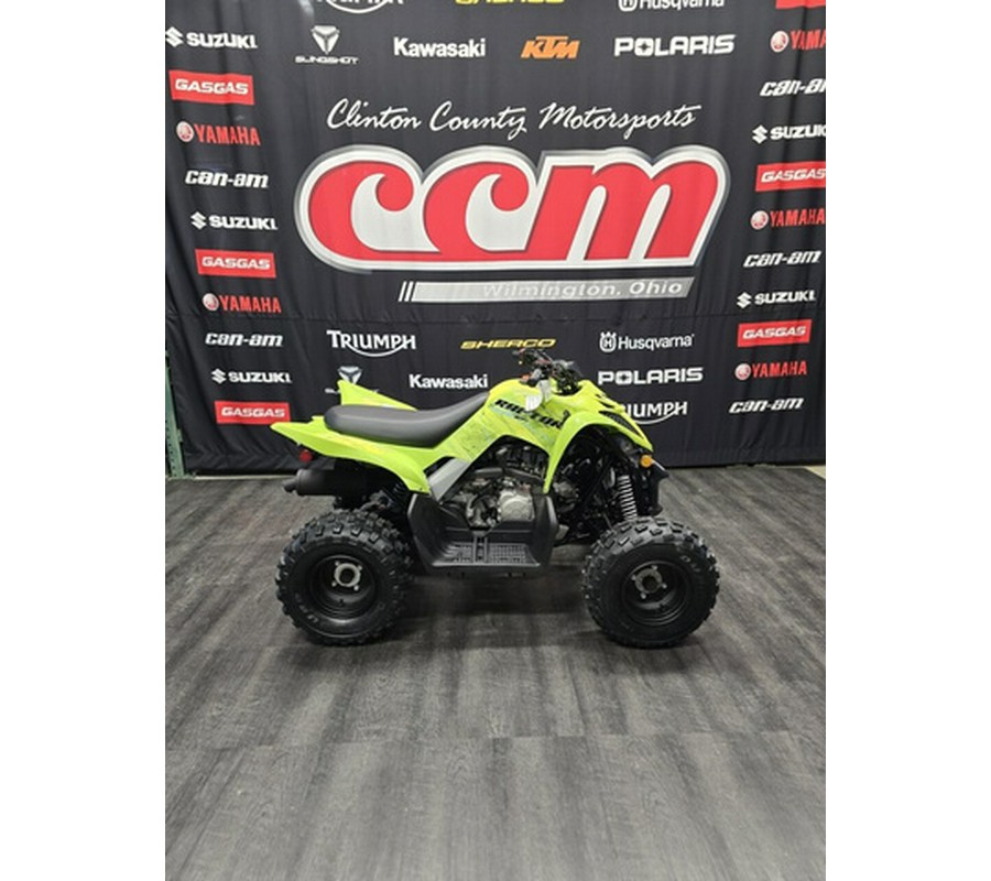 2026 Yamaha Raptor 110