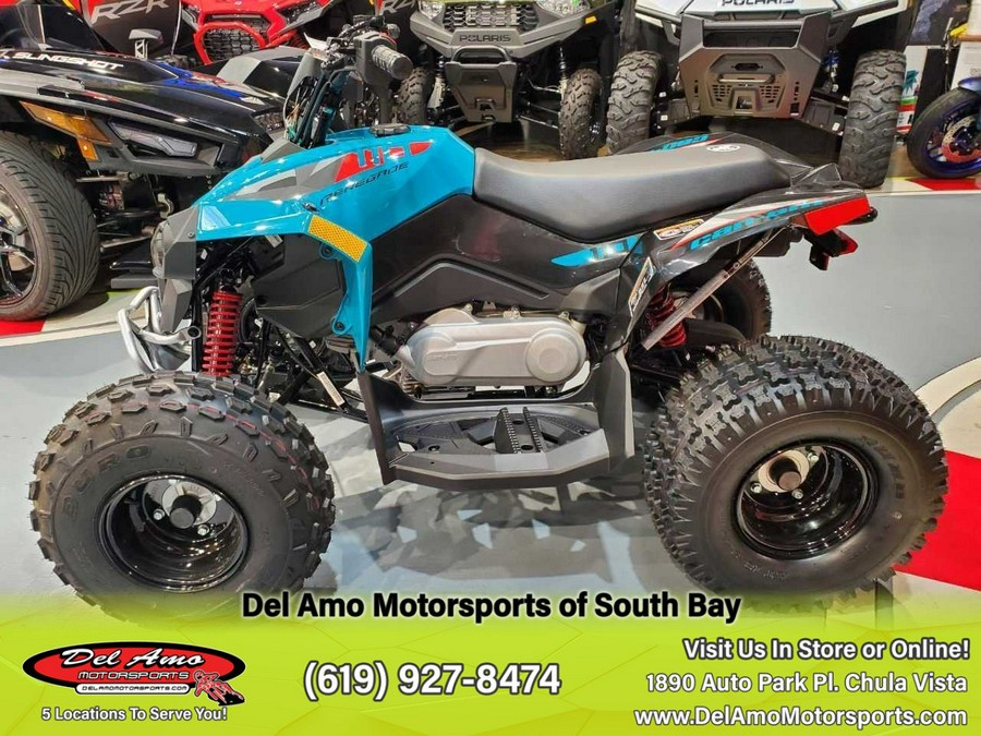 2024 Can-am RENEGADE 70 EFI