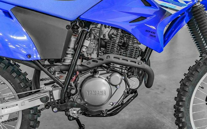 2025 Yamaha TT-R 230