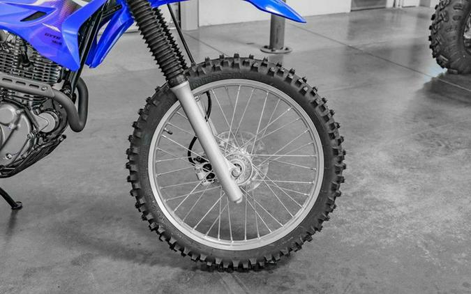 2025 Yamaha TT-R 230