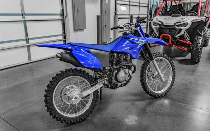 2025 Yamaha TT-R 230