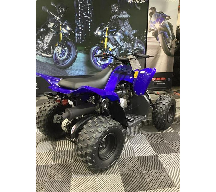 2024 Yamaha Raptor 110