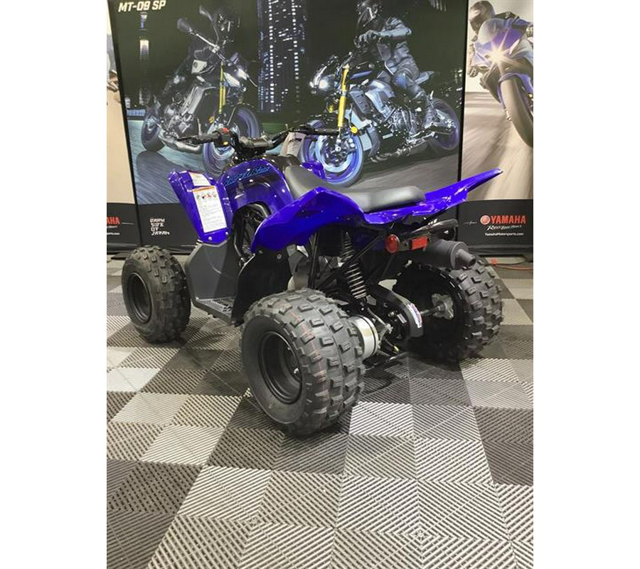 2024 Yamaha Raptor 110