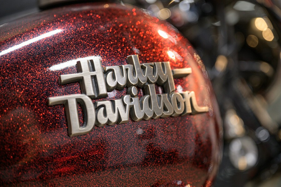 2013 Harley-Davidson Dyna Street Bob FXDBP 103