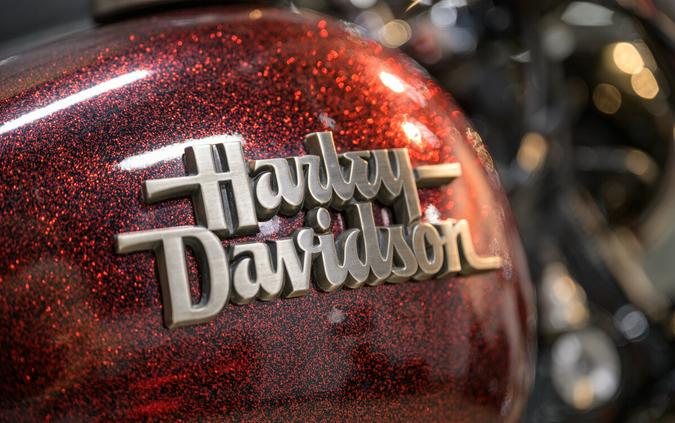 2013 Harley-Davidson Dyna Street Bob FXDBP 103