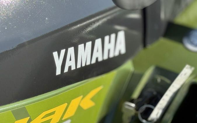 2025 Yamaha Kodiak 700 EPS