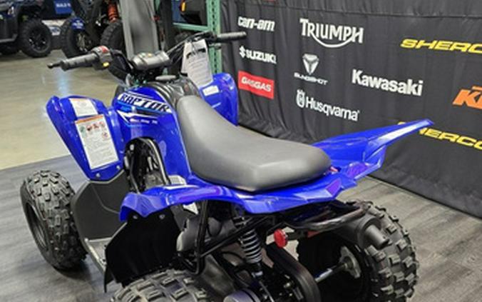 2026 Yamaha Raptor 110