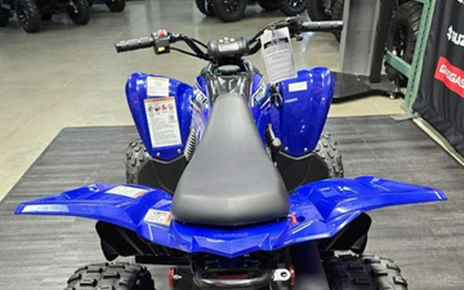 2026 Yamaha Raptor 110