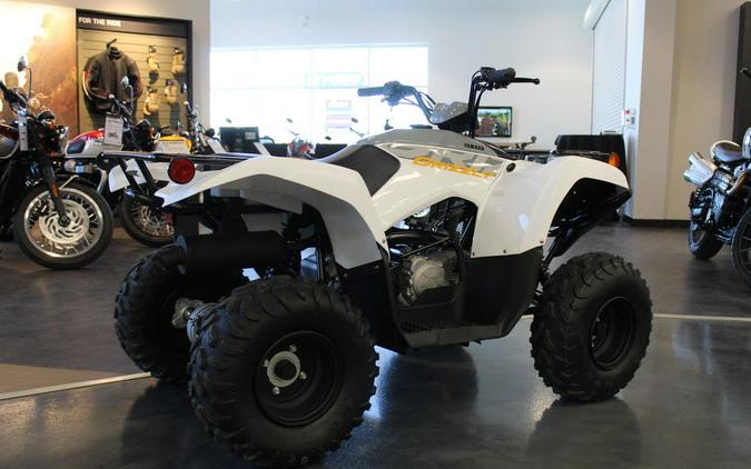 2024 Yamaha Grizzly 90