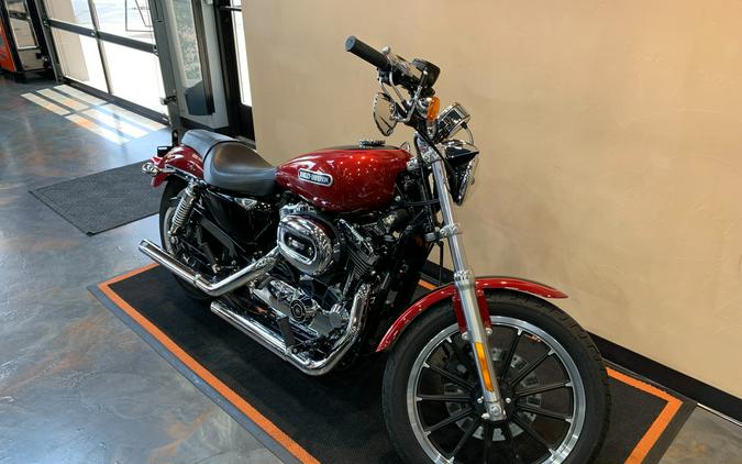 2006 Harley-Davidson Sportster 1200 Low