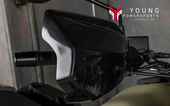 2025 Kawasaki KLR650 Adventure ABS Cypher Camo Beige ABS