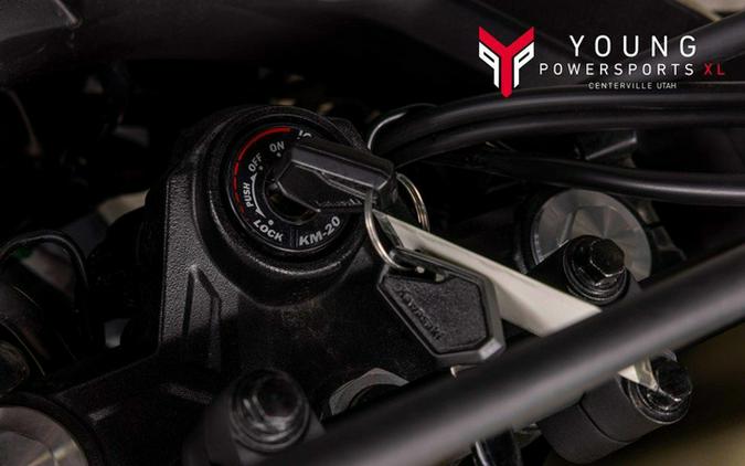 2025 Kawasaki KLR650 Adventure ABS Cypher Camo Beige ABS