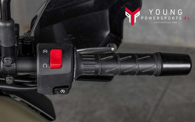 2025 Kawasaki KLR650 Adventure ABS Cypher Camo Beige ABS