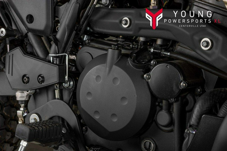 2025 Kawasaki KLR650 Adventure ABS Cypher Camo Beige ABS