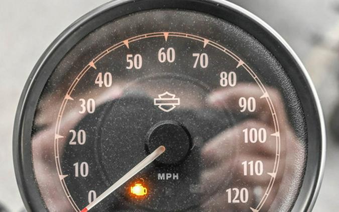 2021 Harley-Davidson XL883N - Iron 883