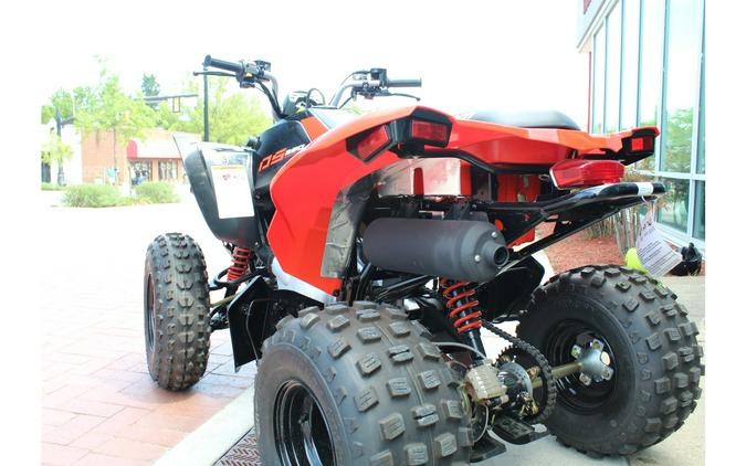 2024 Can-Am DS 250