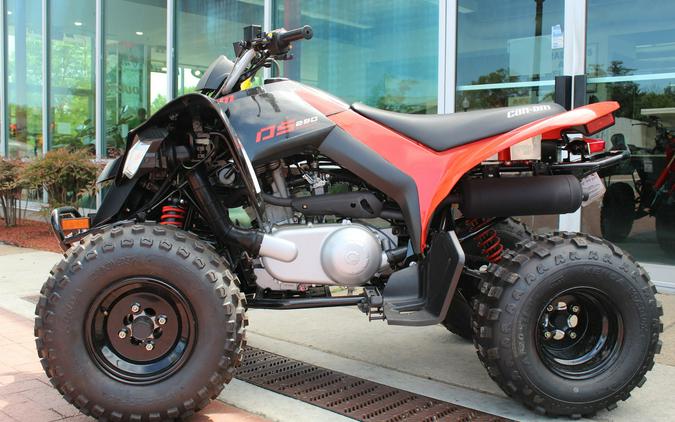 2024 Can-Am DS 250