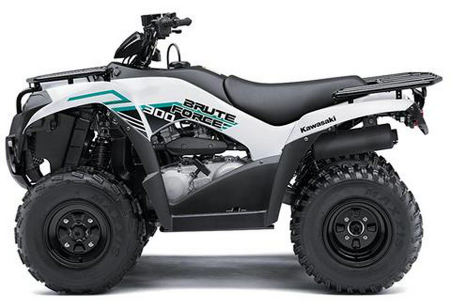 2023 Kawasaki Brute Force 300