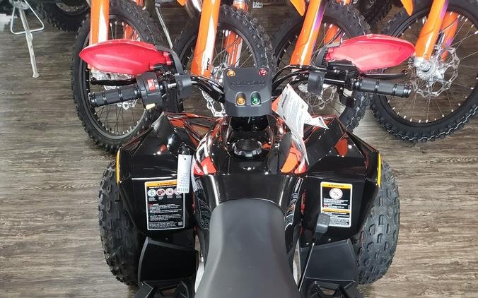 2024 Can-Am Renegade X XC 110 EFI