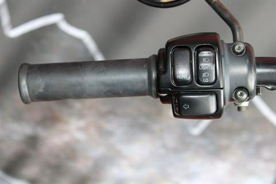 2009 Harley-Davidson Sportster® Iron 883™