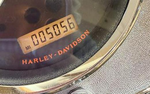 2009 Harley-Davidson Softail® Fat Boy®